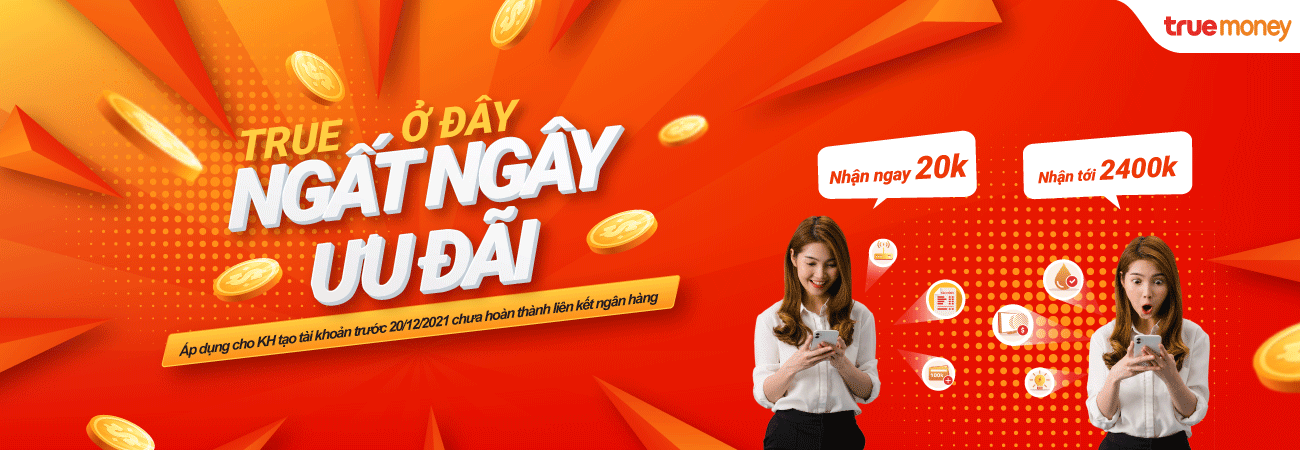 TRUE Ở ĐÂY, NGẤT NGÂY ƯU ĐÃI